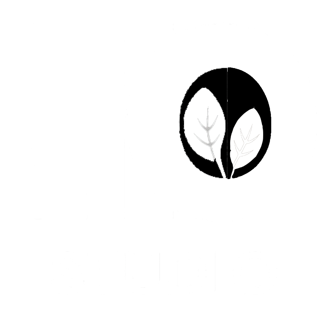HO Studio